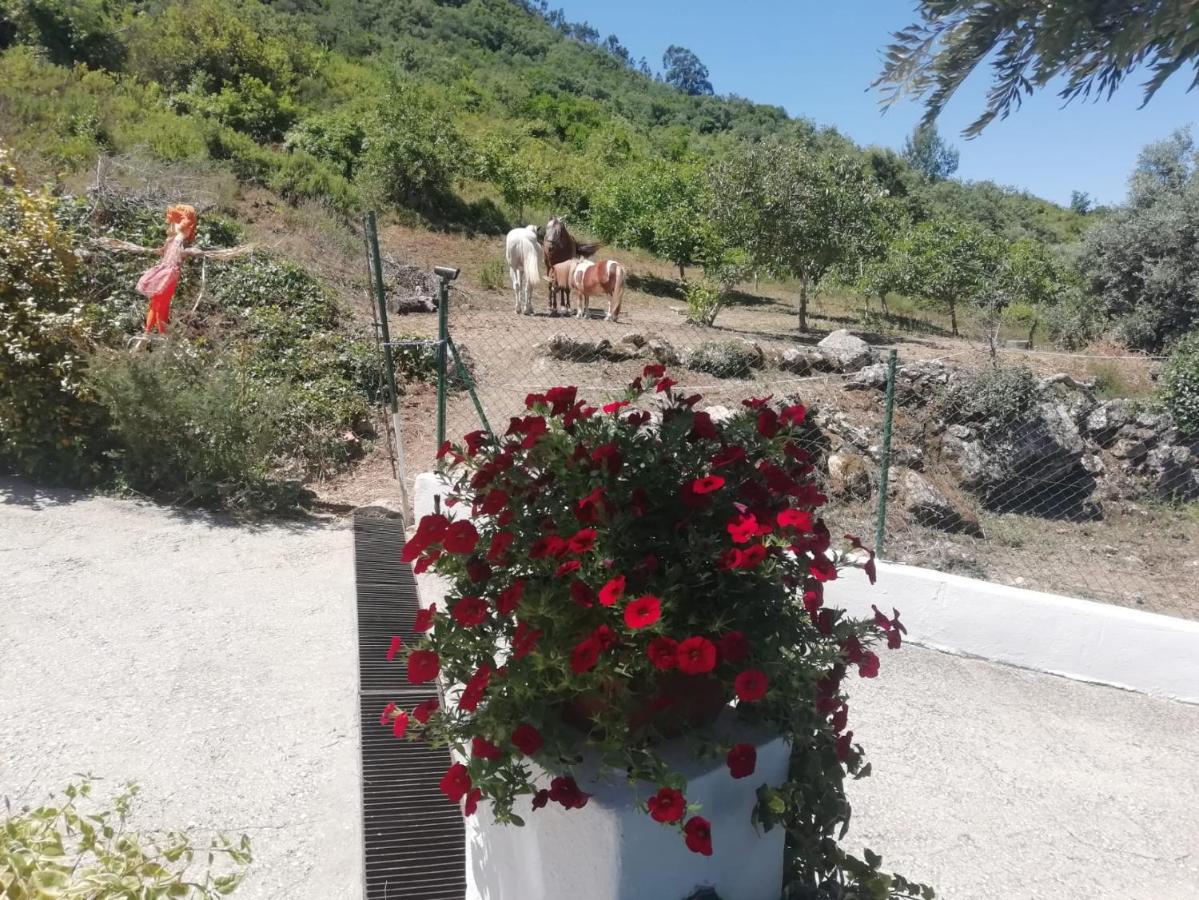 Casinha Da Lareira - Quintinha Dos Cavalos- Arruda Dos Vinhos Kültér fotó