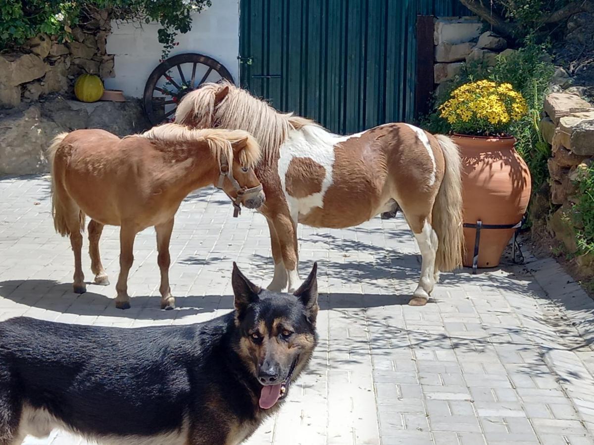 Casinha Da Lareira - Quintinha Dos Cavalos- Arruda Dos Vinhos Kültér fotó