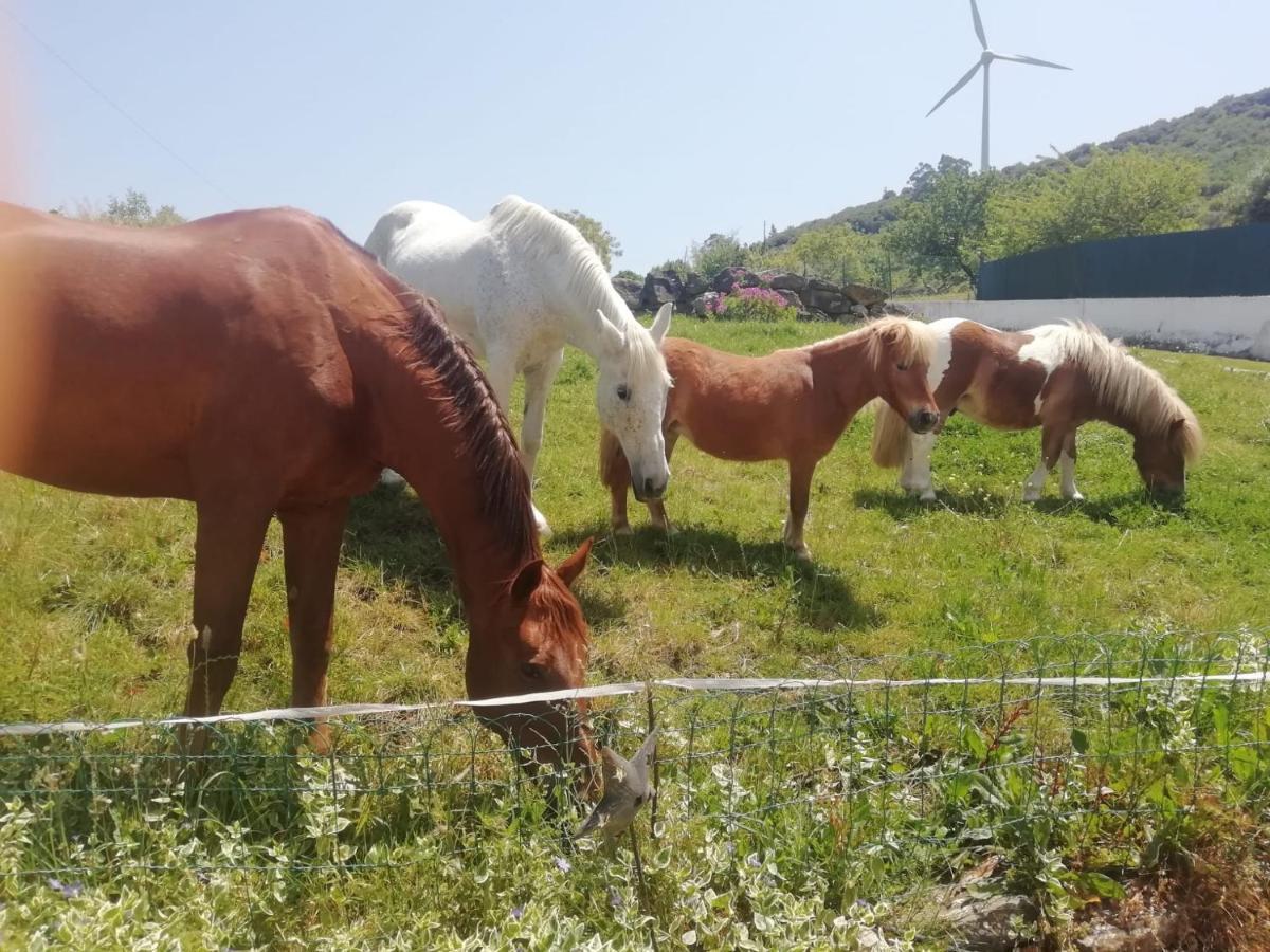 Casinha Da Lareira - Quintinha Dos Cavalos- Arruda Dos Vinhos Kültér fotó