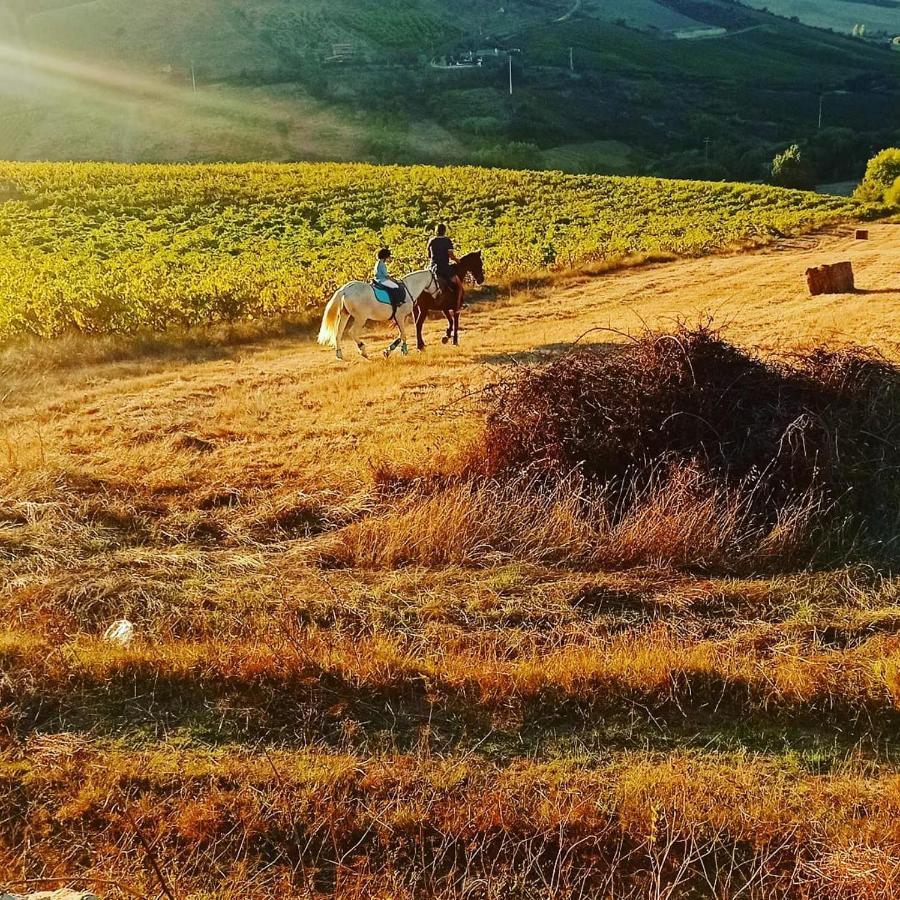 Casinha Da Lareira - Quintinha Dos Cavalos- Arruda Dos Vinhos Kültér fotó